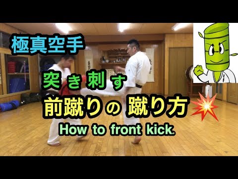 突き刺す前蹴りの蹴り方 How to front kick.