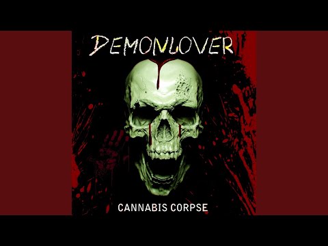 Quantum Hyperspace Paradox (Original Mix)