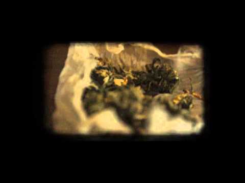 JAYADEVA feat. Joseph COTTON - Roadblock - OFFICIAL - 16mm