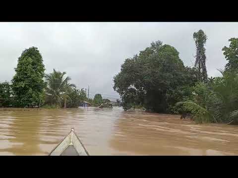 Rua virou rio 🏙️ #jordão #acre #amazonia #brasil #americadosul #enchente #enchentes