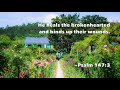 My Soul Thirsts for God (Instrumental) - David Bauer