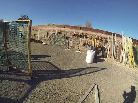 Richmond Hot Shots, USPSA Pistol match, March 6 2021, Bay 5, Stage 6, Alpha   Mike