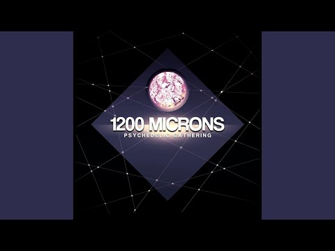 Aphid Moon (Original Mix)