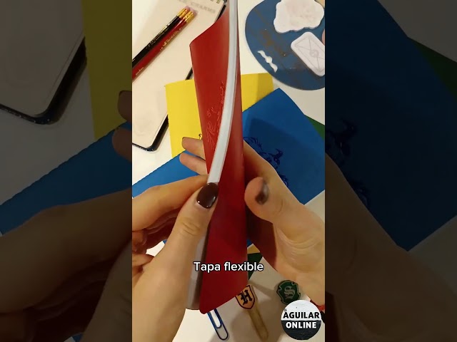 Vídeo relacionado con Mono Quick 18068 - Gryffindor - Parche termoadhesivo de Harry Potter, Hogwarts, Gryffindor Slytherin Hufflepuff Ravenclaw