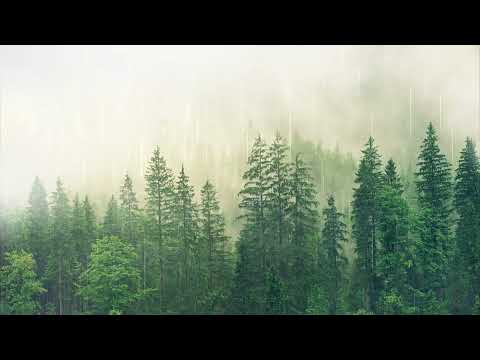 Nature#drone footage#rabab#music#relaxing video #nature video