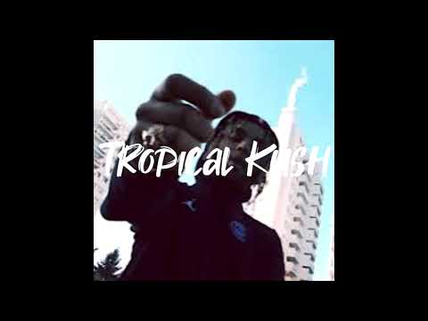 [FREE] Zola x Noname x Gunna Type beat "Tropical Kush" | (Prod Mistralboy x Shayaa)