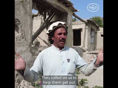 The HALO Trust's Afghanistan Earthquake Response