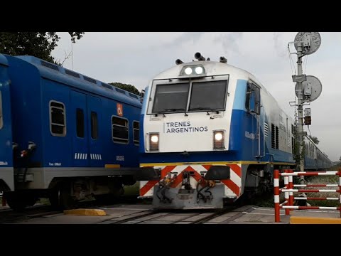 Tren "El Martita" a Junín cruzando con un tren local de la Línea San Martín + casi accidente