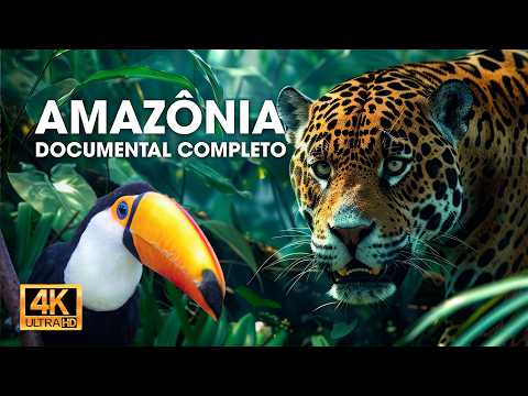 AMAZON (PART 1) - An Adventure Through the Impressive Jungle #wildanimals