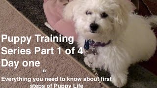 Crate training in 4 parts