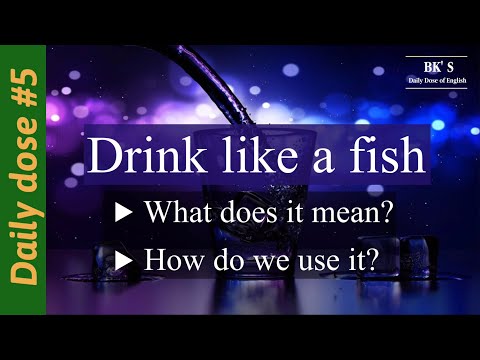Drink like a fish | English expressions | Daily dose #5