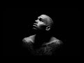 Chris Brown - Damage (Lyrics)