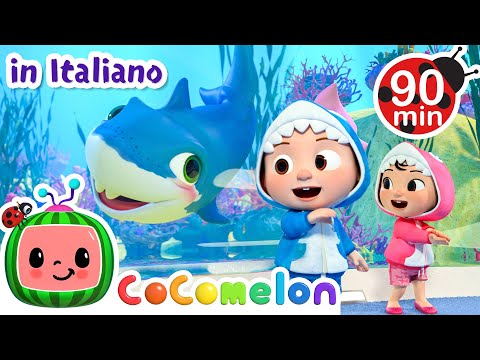Baby squalo 🦈🌈| CoComelon Italiano - Canzoni per Bambini