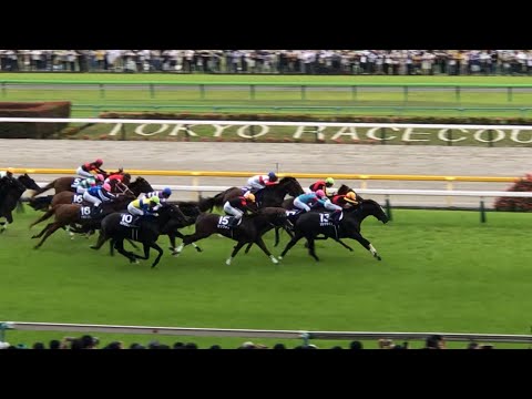 【現地】ソングライン 2022 安田記念 (短編 ﾚｰｽのみ)