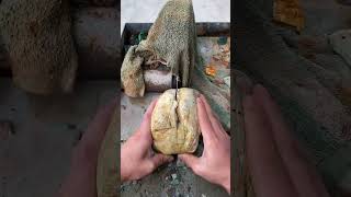 Download lagu A jade buyer arrived in a car #crystals #jadeite #gemstones #jade #fypuk mp3 Download lagu A jade buyer arrived in a car #crystals #jadeite #gemstones #jade #fypuk mp3