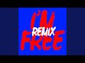 I'm Free (Fatboy Slim Remix)