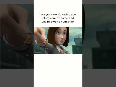 AMSTERDAM Kwaku Festival Retreat: https://erodatravelclub-amsterdam2026.my.canva.site/