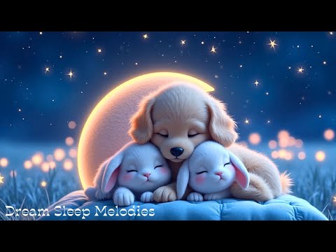 (No Ads) Healing Sleep Music • Relieve Stress, Anxiety, Insomnia & Release Melatonin Fast