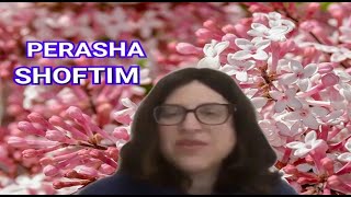 Download lagu PARSHA 2020 -Perashat SHOFTIM con Jani G. mp3