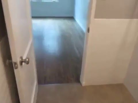 PL5575 - Charming 1 Bed + 1 Bath Apartment for Rent! (Santa Monica, CA)