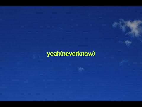 Bearcubs - Yeah (Never Know) [Visualizer]