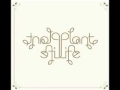 Plantlife - Whyd U Call Me? 