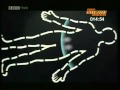 GCSE BBC Bitesize Higher Science Biology 3 ...