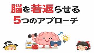 脳が錆びつくNG習慣とは？脳を若返らせる5つの科学的アプローチ【ゆっくり解説】
