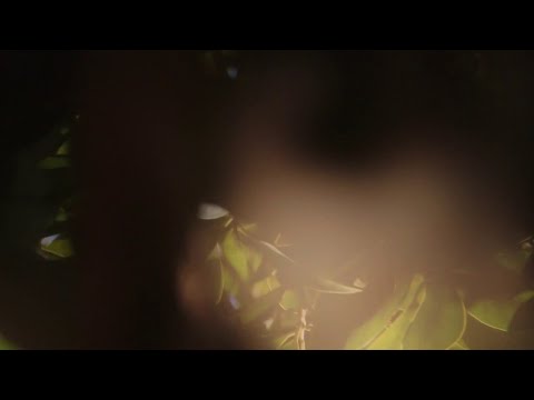 Laroz Camel Rider - Laila Laila (Instrumental Mix)