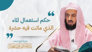 حكم استعمال الماء الذي ماتت فيه حشرة image