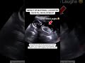 Effect of a Mother's Laughter on an Unborn Baby - MEDspiration Effect of a Mother's Laughter on an Unborn Baby