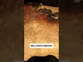 Medieval People Feared A Real Life Walking Dead