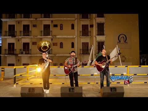 Los De Guamuchil - Las Luces Siguen Brillando (En Vivo 2017)