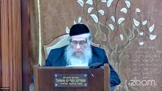 הרה"ג הרב וועכטר שליט"א י"ט אדר א' תשפ"ד - מאמר הרבי הריי"צ תרצ"ב ד"ה דעו כי ' אלוקים חלק ב (הרב אברהם מנחם מענדל וכטר) - התמונה מוצגת ישירות מתוך אתר האינטרנט יוטיוב. זכויות היוצרים בתמונה שייכות ליוצרה. קישור קרדיט למקור התוכן נמצא בתוך דף הסרטון