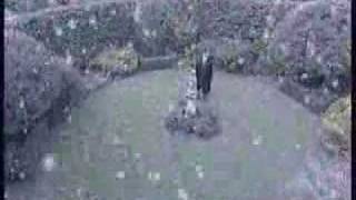 You Raise Me Up - Aled Jones