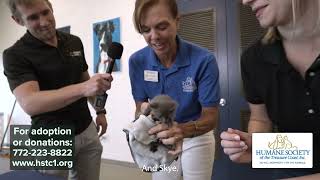Pets on Parade - April 23, 2025