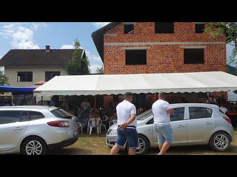 Vrelo Sane- Džaba zlato i dukati (uživo 2023)