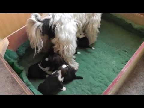 What is this, I can't believe it!! Awwwww