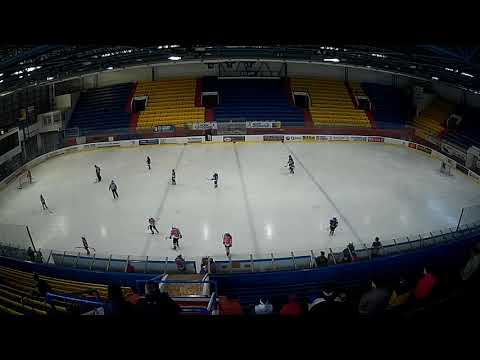 HC Písek - HC Lvi ČB III. tř. Unor 2019