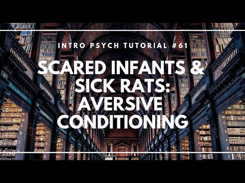 Learning Theory Classical Conditioning Intro Psych Tutorial 59