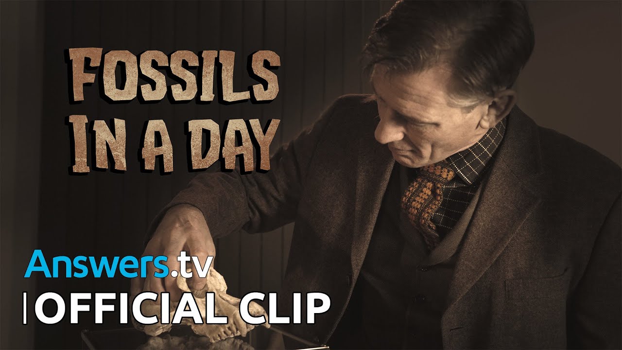 Fossils In a Day / Official Clip