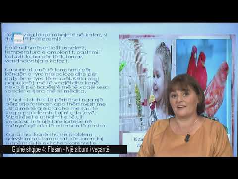 Gjuhë shqipe 4 - Flasim: Një album i veçantë