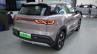 2024 BYD Yuan UP EV Review (Eng) | Only $14,000 ? | BYD | China