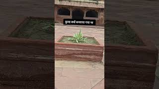 #viral #facts