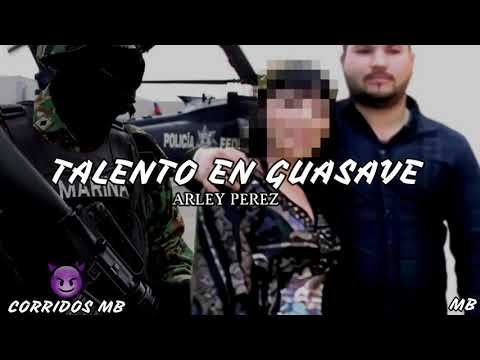 Arley Perez - Talento En Guasave ``Chapo Isidro (Corridos 2020)