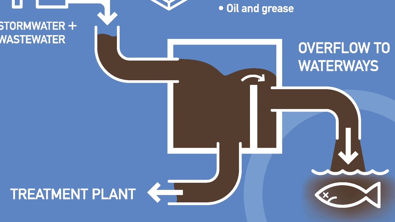 Bioswale Maintenance