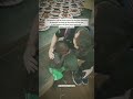 A Important Massage For Us Shorts Islam