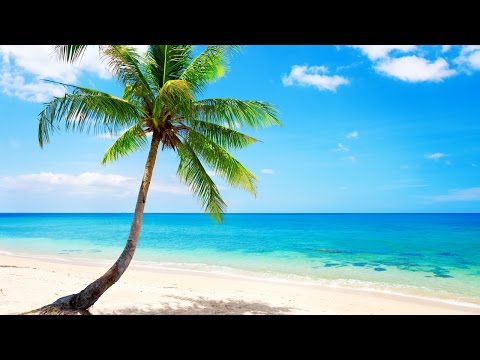 8. Полет и купание в море.