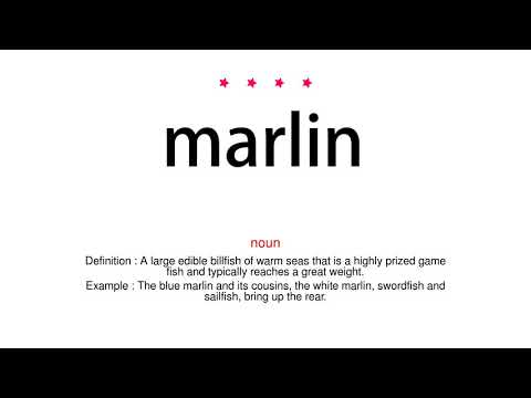 How to pronounce marlin - Vocab Today