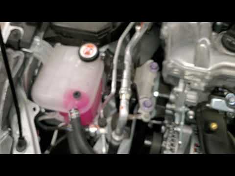 2020 2021 2022 Toyota Corolla How To Check Coolant Level In Overflow Reservoir Bottle 2ZR-FAE 1.8L
